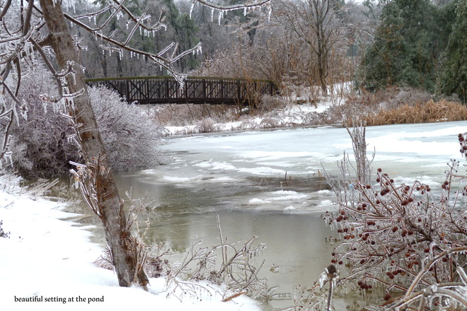 West Oak Trails pond post ice storm Oakville, Ontario Canada