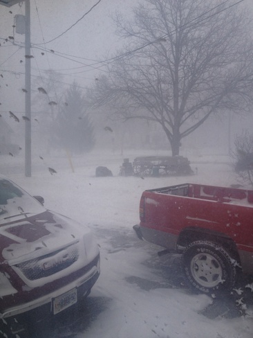 snowing and blowing Ridgeway, Ontario Canada