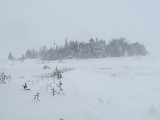Blowing snow Lion's Head, Ontario Canada