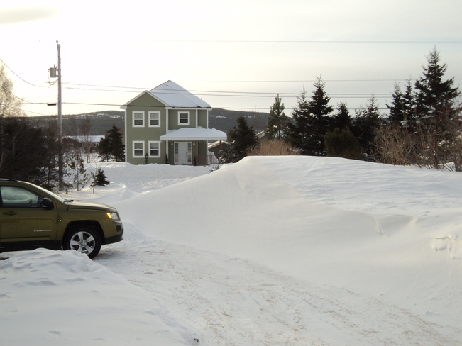The Day after the great storm on the Avalon Carbonear, Newfoundland and Labrador Canada