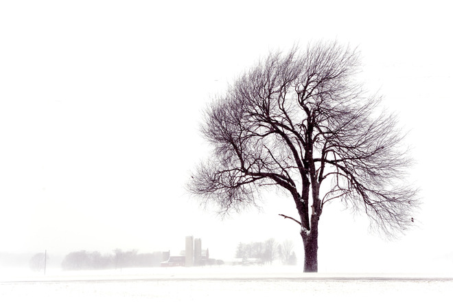 Winter 2014 London, Ontario Canada