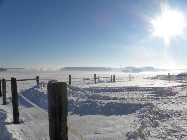 Sunny winterday Salford, Ontario Canada