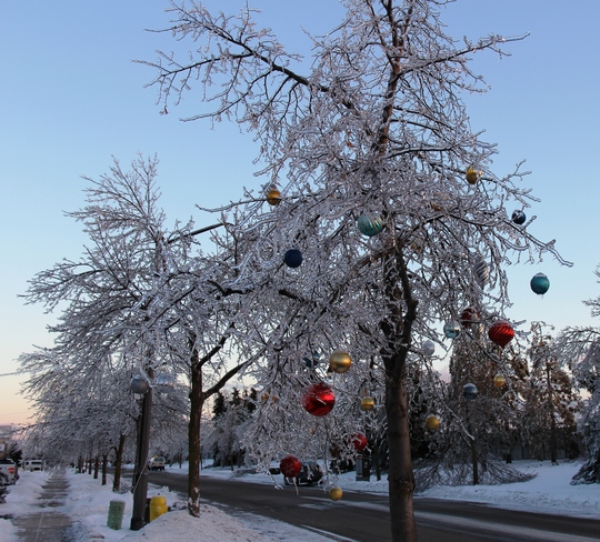 Ice - Christmas Woodbridge, Ontario Canada