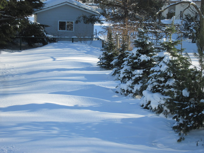 Snow moguls in the back yard Kincardine, Ontario Canada