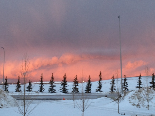 Snowy sunrise Calgary, Alberta Canada