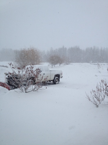 heavy snow and wind Genesee, Alberta Canada