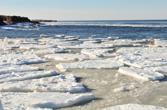 Floating ice. Cap-Pele, New Brunswick Canada