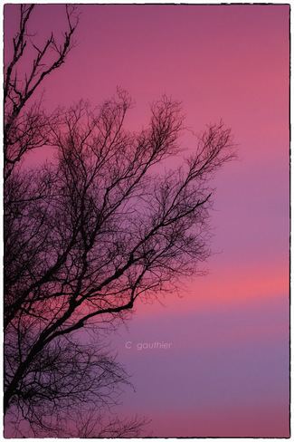 A pretty in pink sunrise! Magnetawan, Ontario Canada