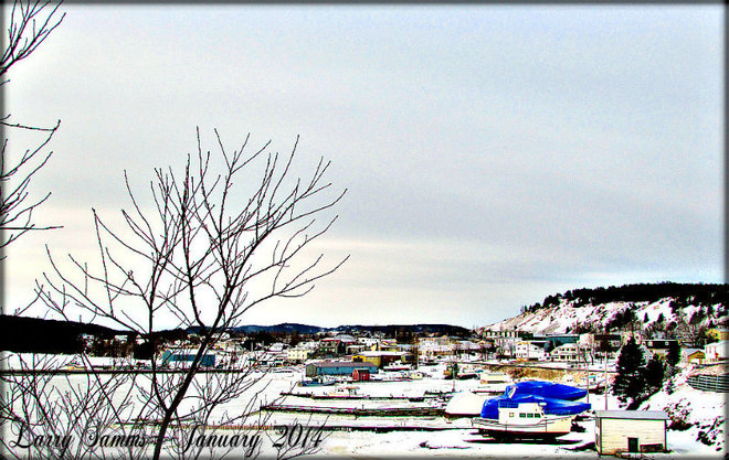 "Springdale Waterfront" Springdale, Newfoundland and Labrador Canada