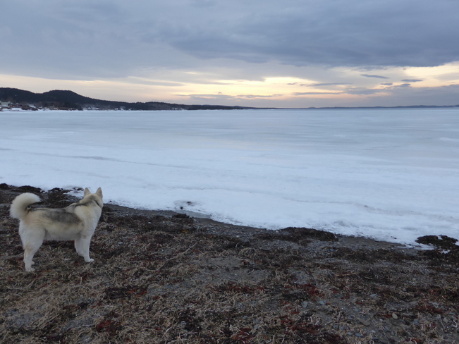 Evening Clouds Birchy Bay, Newfoundland and Labrador Canada