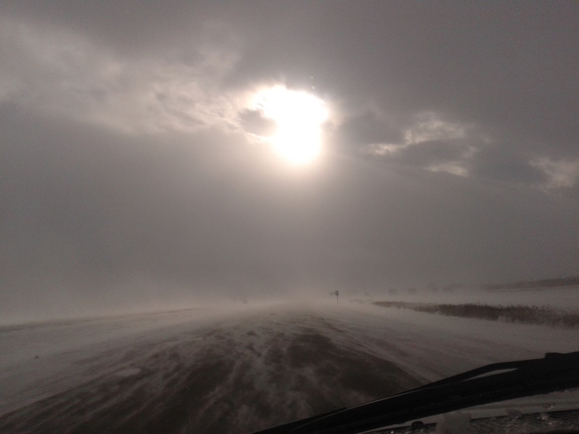 Blowing Snow Steinbach, Manitoba Canada