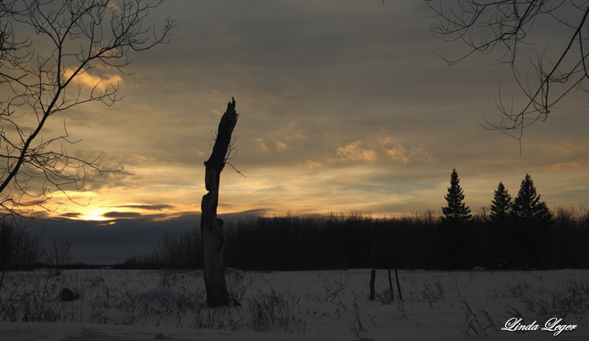 A Winter's Eve Libau, Manitoba Canada