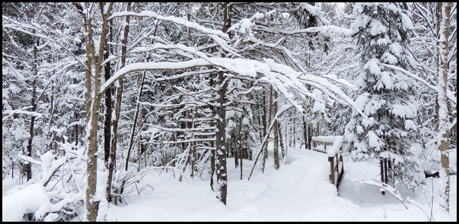 Sheriff Creek red trail winter wonderland. Elliot Lake, Ontario Canada