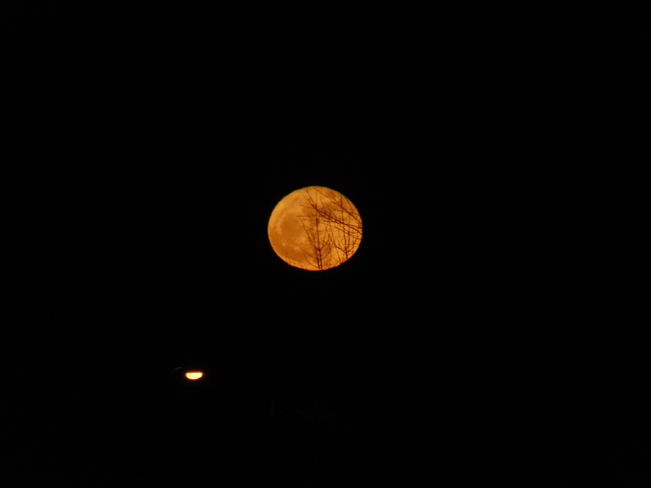 harvester moon Dauphin, Manitoba Canada