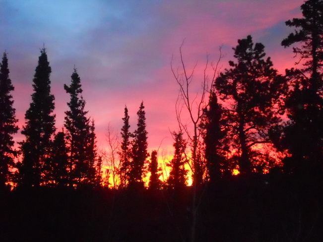 Friday morning sunrise! Whitehorse, Yukon Canada