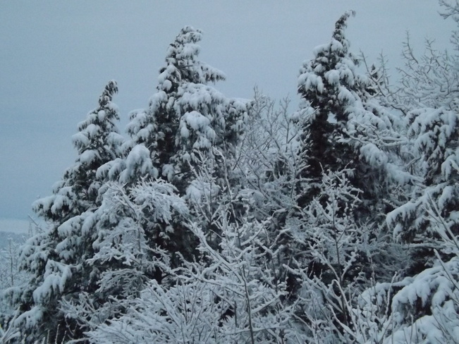 snowy New Minas, Nova Scotia Canada