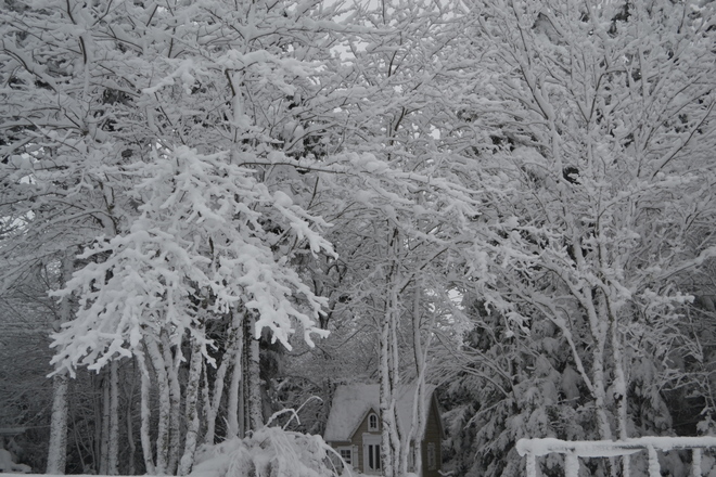 Winter Wonderland - Hammonds Plains, NS Halifax, Nova Scotia Canada