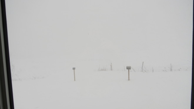 snow squalls and white outs Rutherglen, Ontario Canada