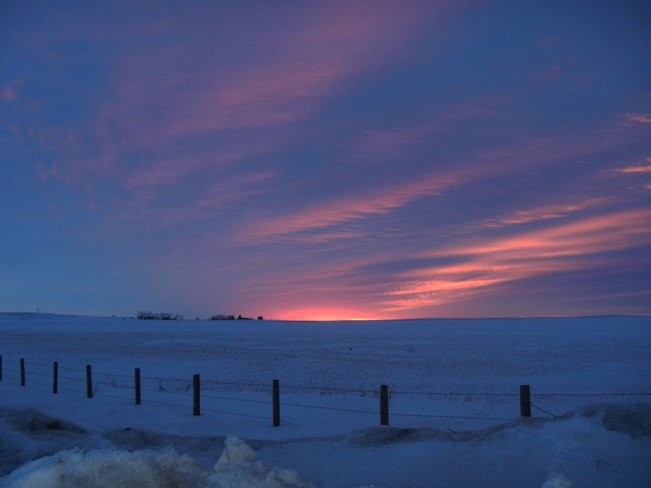 sunrise over the field Bassano, Alberta Canada