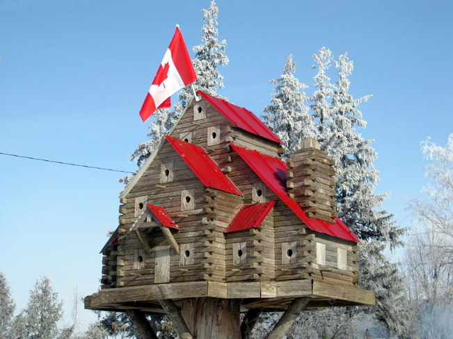 Extreme Birdhouses Belgrave, Ontario Canada