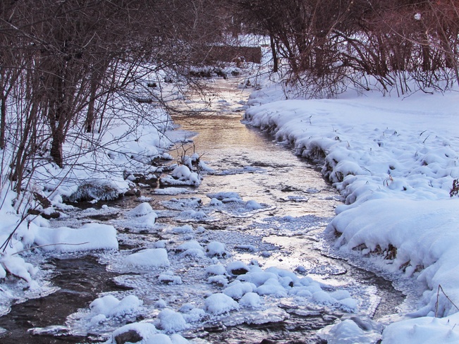 Icy Stream Kingston, Ontario Canada