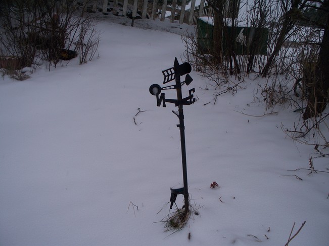 Snowy day Ferndale, Placentia N.L. Placentia, Newfoundland and Labrador Canada