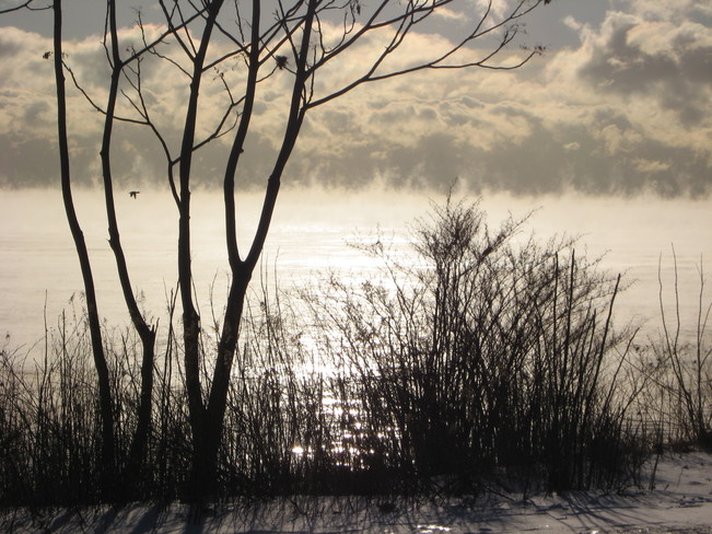 Cold air. Warm water. Etobicoke, Ontario Canada