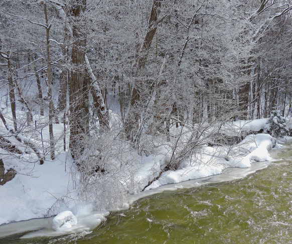 "Snow ~ Frost Beauty" Owen Sound, Ontario Canada