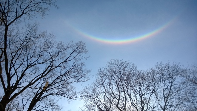 An upside-down rainbow (circumzenithal arc) Toronto, Ontario Canada