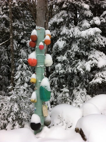 Snow Buoys! Hubbards, Nova Scotia Canada