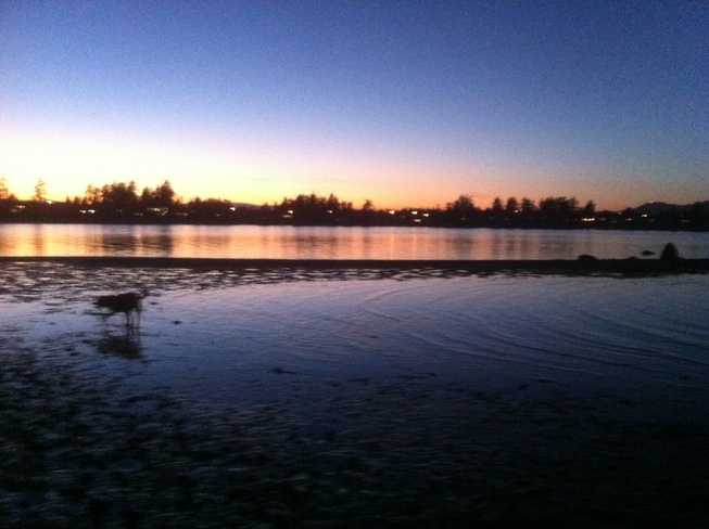beach sunset Sidney, British Columbia Canada