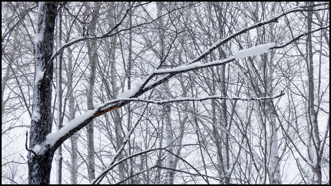 Sheriff Creek red trail snow scene. Elliot Lake, Ontario Canada