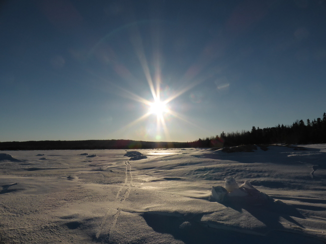 Sunny Morning Birchy Bay, Newfoundland and Labrador Canada