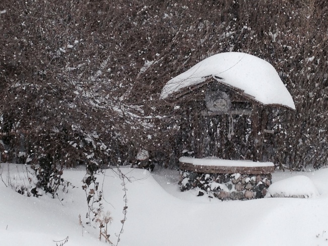 snow in yard Georgetown, Ontario Canada