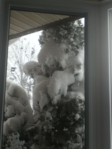 # Too much snow London, Ontario Canada