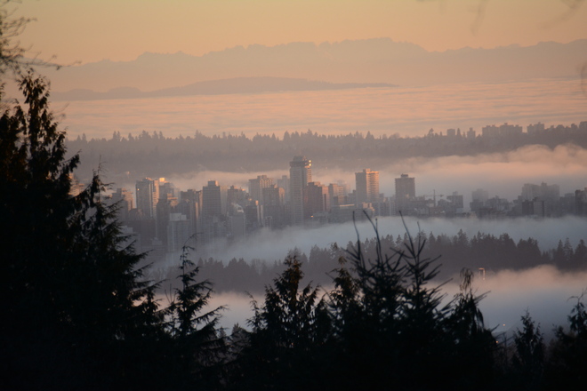 Fog Shot! Vancouver, British Columbia Canada