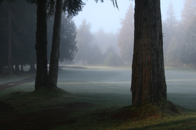 Foggy Morning at SCGC Campbell River, British Columbia Canada