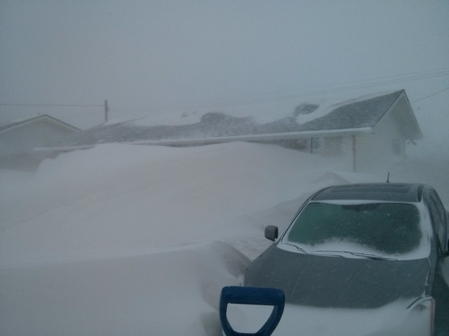 Snowed In #2 Blenheim, Ontario Canada