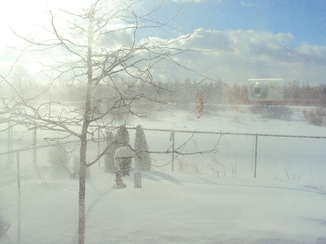 whiteouts from the window Ottawa, Ontario Canada