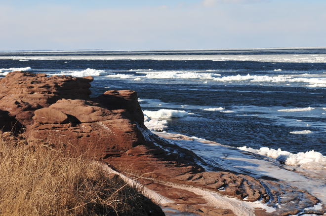 Nice shore line. Cap-Pele, New Brunswick Canada