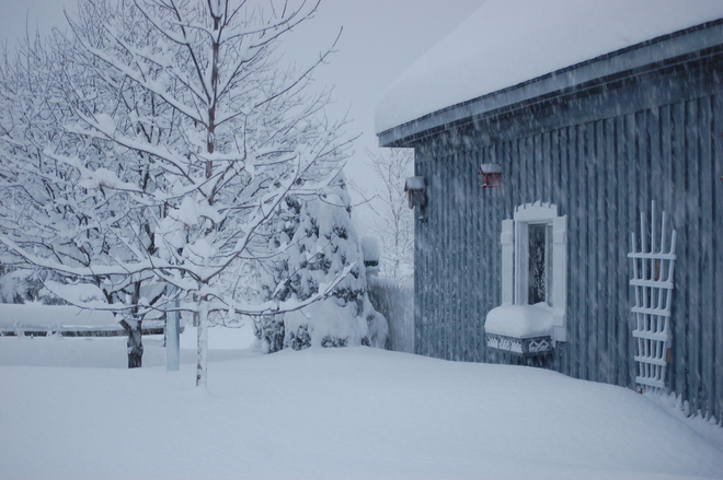 35 cm snowfall overnight Belleville, Ontario Canada