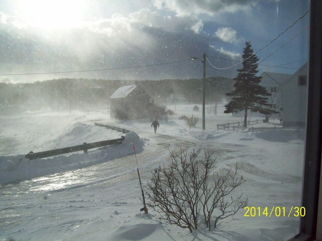 drifting snow in twillingate Twillingate, Newfoundland and Labrador Canada