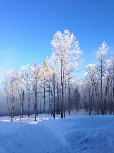 sun kissing the frost Petawawa, Ontario Canada