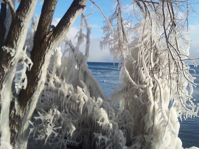 Icy Blue Etobicoke, Ontario Canada