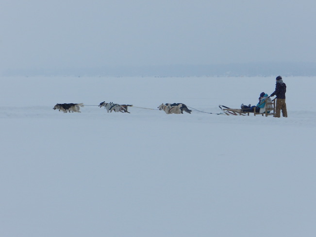 A Dog Sled Ride on the Lake Barrie, Ontario Canada