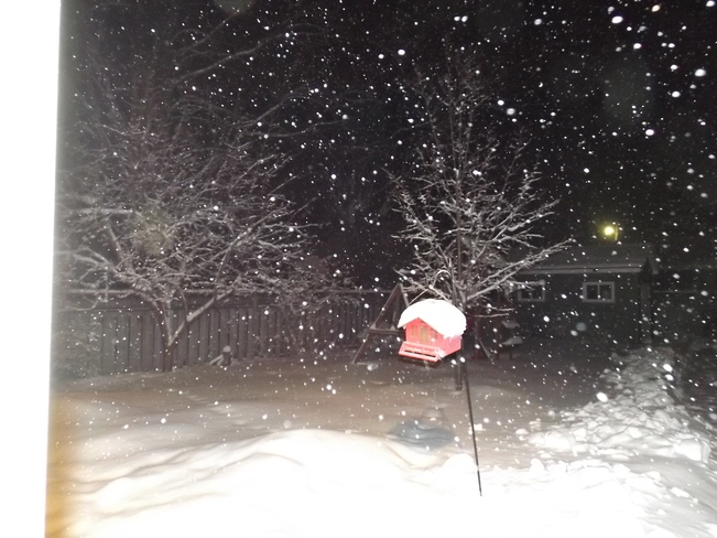 It's snow fun. Brights Grove, Ontario Canada