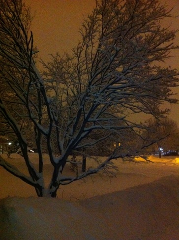 snowy night Brampton, Ontario Canada