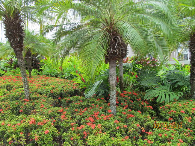 Merriot Resort Gardens Lihue, Hawaii United States