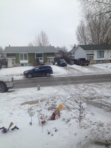 snowy day Lloydminster, Saskatchewan Canada