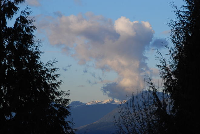 It is a puppy in the clouds Surrey, British Columbia Canada
